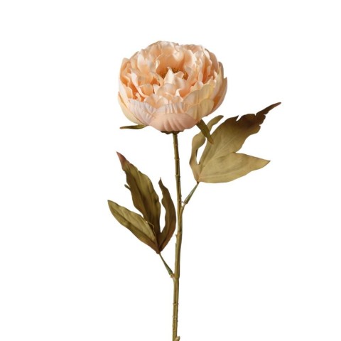 RAMO DI PEONIA BEIGE CM65